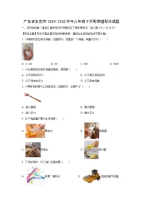 2024-2025学年广东省东莞市八年级下学期物理期末物理试卷（学生版）