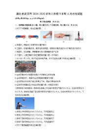 2024-2025学年湖北省武汉市八年级下学期6月月考物理试卷（学生版）