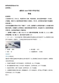 2025年山东省威海市中考物理真题试卷（Word版附解析）