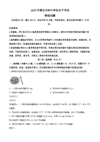 2025年山东省泰安市中考物理真题试卷（Word版附解析）
