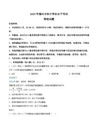 2025年山东省烟台市中考物理真题试卷（Word版附解析）