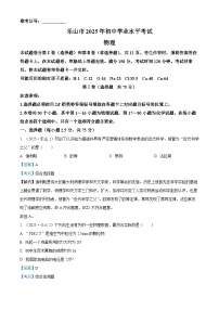 2025年四川省乐山市中考物理真题试卷（Word版附解析）