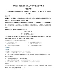2025年四川省甘孜州、阿坝州中考物理真题试卷（Word版附解析）