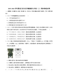 2025-2026学年黑龙江省大庆市肇源县九年级（上）期末物理试卷(含详细答案解析)