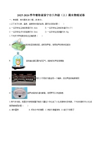 2025-2026学年青海省西宁市八年级（上）期末物理试卷-自定义类型