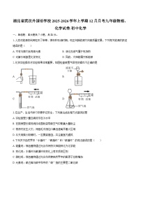 湖北省武汉外国语学校2025-2026学年上学期12月月考九年级物理、化学试卷-初中化学-自定义类型