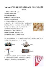 2025-2026学年四川省泸州市梓橦路学校九年级（上）月考物理试卷（1月份）-自定义类型