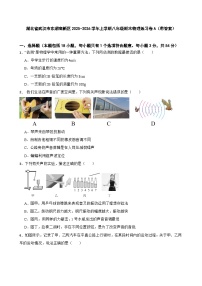 湖北省武汉市东湖高新区2025-2026学年上学期八年级期末物理练习卷A（带答案）