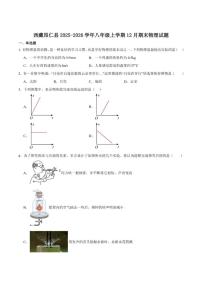 2025-2026学年西藏自治区日喀则市昂仁县八年级上学期12月期末考试物理试卷（有答案）
