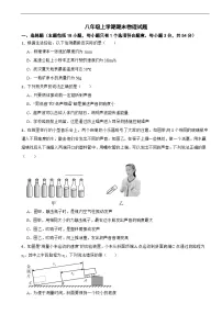 湖北省武汉市东湖高新区2025年八年级上学期期末物理试题附答案