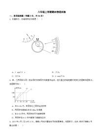 湖南省岳阳市临湘市2025年八年级上学期期末物理试卷附答案