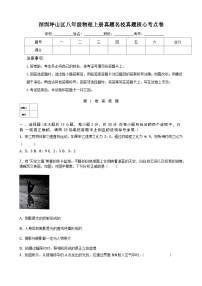 深圳坪山区八年级物理上册真题名校真题核心考点卷及答案解析