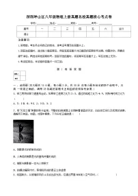 深圳坪山区八年级物理上册真题名校真题核心考点卷及答案解析
