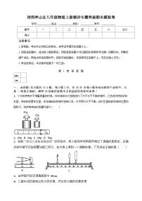 深圳坪山区八年级物理上册精讲专题突破期末模拟卷及答案解析