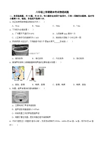 广东省广州市天河区2025年八年级上学期期末考试物理试题附答案