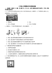 湖南省娄底市2025年八年级上学期期末考试物理试题附答案