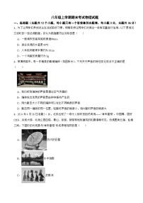 四川省广元市2025年八年级上学期期末考试物理试题附答案