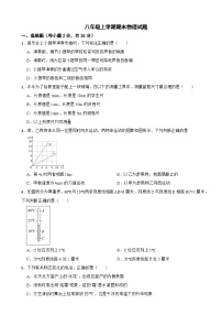 四川省绵阳市涪城区2025年八年级上学期期末物理试题附答案