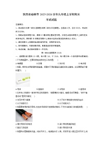 2025-2026学年陕西省榆林市九年级上学期期末考试物理试卷（学生版）