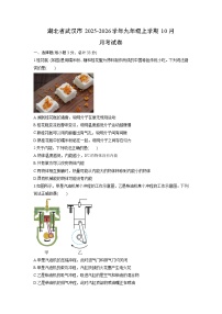 2025-2026学年湖北省武汉市九年级上学期10月月考物理试卷（学生版）