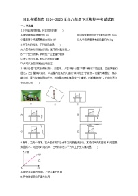 2024-2025学年河北省邯郸市八年级下学期期中考试物理试卷（学生版）