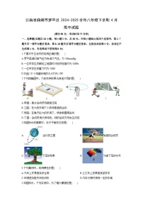 2024-2025学年云南省曲靖市罗平县八年级下学期4月期中物理试卷（学生版）