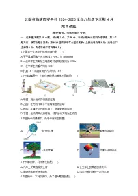 2024-2025学年云南省曲靖市罗平县八年级下学期4月期中物理试卷（学生版）