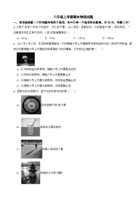 北京市昌平区2025年八年级上学期期末物理试题附答案
