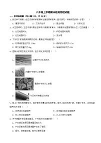 四川省成都市郫都区2025年八年级上学期期末检测物理试题附答案