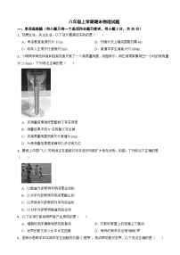 四川省成都市武侯区2025年八年级上学期期末物理试题附答案