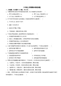 四川省绵阳市2025年八年级上学期期末物理试题附答案