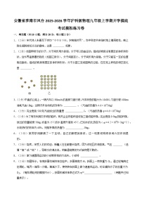 2025-2026学年安徽淮南九年级上学期开学摸底考试物理模拟练习卷【含解析】
