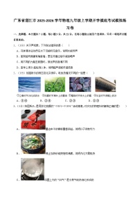 2025-2026学年广东湛江九年级上学期开学摸底考试物理模拟练习卷【含解析】