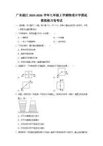 2025-2026学年广东湛江九年级上学期开学摸底考试物理模拟练习卷【含解析】 (2)