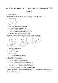 初中物理沪粤版（2024）八年级上册（2024）光的反射定律一课一练