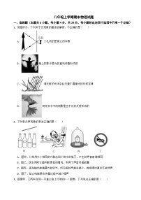 甘肃省陇南市武都区2025年八年级上学期期末物理试题附答案