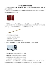 广东省潮洲市饶平县2025年八年级上学期期末物理试题附答案