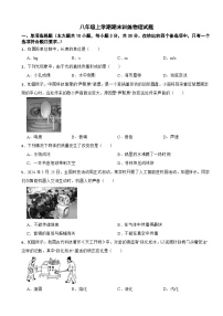 广西玉林市2025年八年级上学期期末训练物理试题附答案