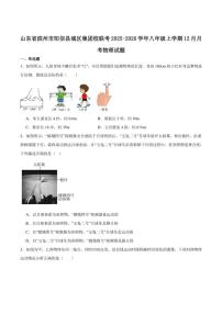 2025-2026学年山东省滨州市阳信县城区集团校联考八年级上学期12月月考物理试卷（有答案）