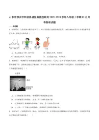 2025-2026学年山东省滨州市阳信县城区集团校联考八年级上学期12月月考物理试卷（有答案）