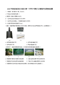 2025年陕西省西安市曲江第一中学中考第八次模拟考试物理试题-自定义类型