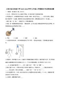 上海市延安初级中学2025-2026学年九年级上学期期末考试物理试题-自定义类型
