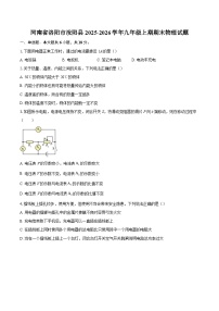 河南省洛阳市汝阳县2025-2026学年九年级上期期末物理试题-自定义类型
