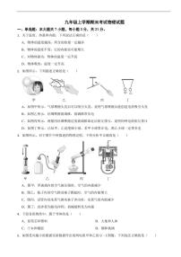 广东省汕头市潮阳区2025年九年级上学期期末考试物理试题及答案