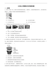 湖北省武汉市洪山区2025年九年级上学期期末考试物理试题及答案