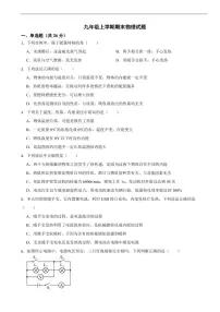 四川省攀枝花市2025年九年级上学期期末物理试题及答案