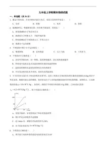 四川省攀枝花市东区2025年九年级上学期期末物理试题及答案
