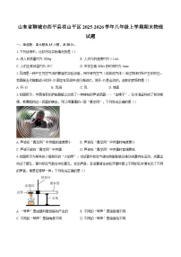 山东省聊城市茌平县茌山平区2025-2026学年八年级上学期期末物理试题-自定义类型