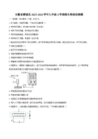 安徽省蒙城县2025-2026学年九年级上学期期末物理检测题-自定义类型