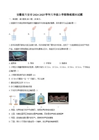 安徽省六安市2024-2025学年八年级上学期物理期末试题-自定义类型
